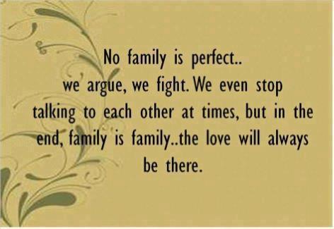No-family-is-perfect..-we-argue-we-fight.-We-even-stop-talking-to-each-other-at-times-but-in-the-end-family-is-family..-the-love-will-always-be-there.jpg
