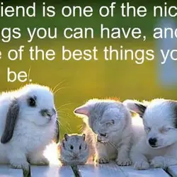 A friend is one of the nicest things you can have, and one of the...