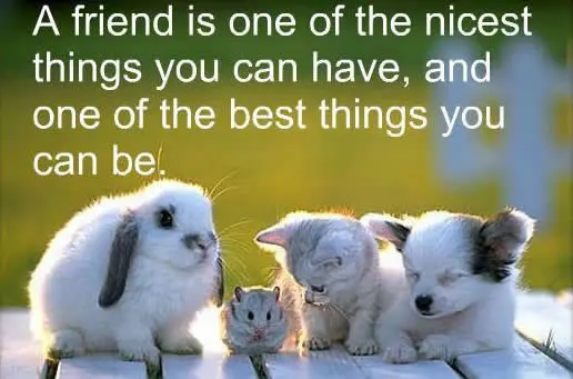 A friend is one of the nicest things you can have, and one of the best things you can be.