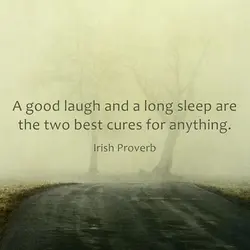 A good laugh and a long sleep are the two best cures for anything.