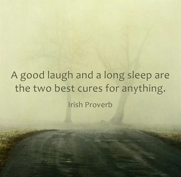 A good laugh and a long sleep are the two best cures for anything.