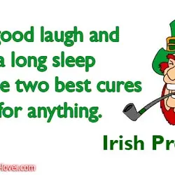A good laugh and a long sleep are the two best cures for anything.