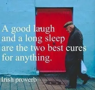 A good laugh and a long sleep are the two best cures for anything