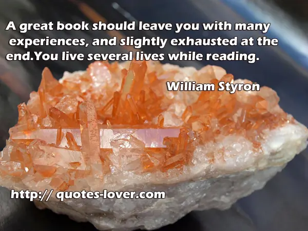 A great book should leave you with many experiences, and slightly exhausted at the end. You live several lives while reading.