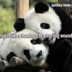 A hug is like a bandage to a hurting wound.