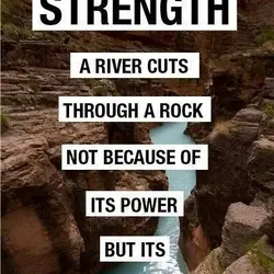 A river cuts through a rock not because of its power but its persistence.