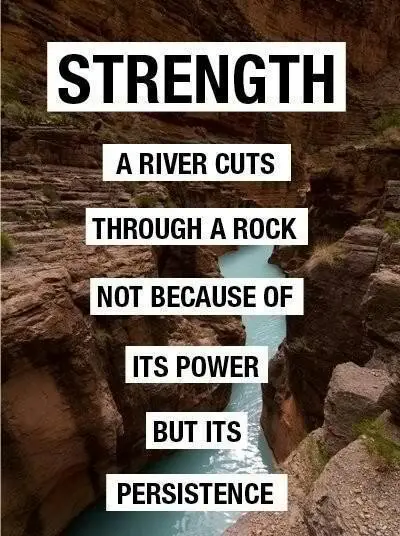 A river cuts through a rock not because of its power but its persistence.