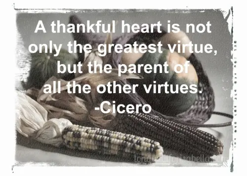 A thankful heart is not only the greatest virtue but the parent of all other virtues