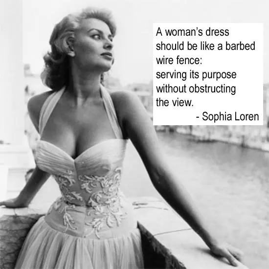 A woman's dress should be like a barbed wire fence serving its purpose without obstructing the view.
