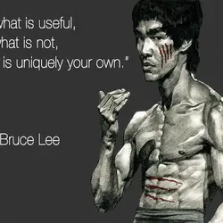 Absorb what is useful, Discard what is not, Add what is uniquely your own