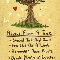 Advice from a tree. Stand Tall and Proud. Go out on a limb. Remeber your...