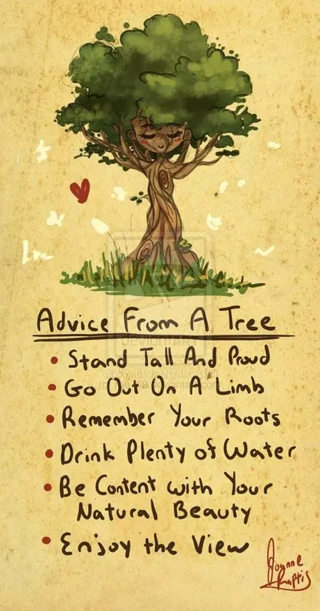 Advice from a tree. Stand Tall and Proud. Go out on a limb. Remeber your roots. Drink Plenty of water. Be content with your natural beauty. Enjoy the view
