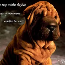 Age may wrinkle the face, but lack of enthusiasm wrinkles the soul
