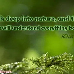Look deep into nature, and then you will understand everything better