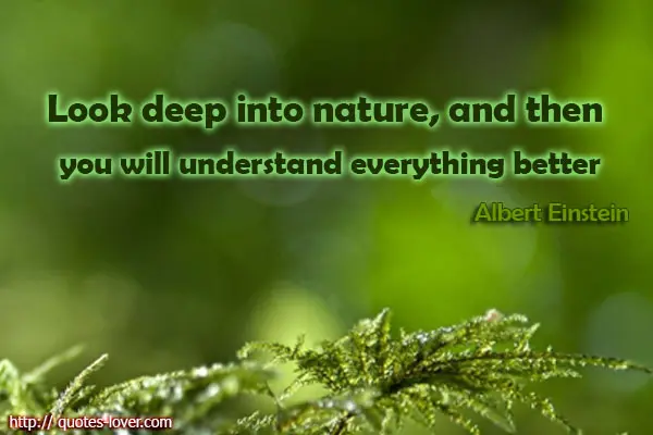 Look deep into nature, and then you will understand everything better