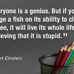 Everyone is a genius but if you judge a fish by its ability to climb...