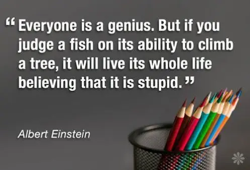 Everyone is a genius but if you judge a fish by its ability to climb a tree
