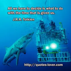 All we have to decide is what to do with the time that is given...
