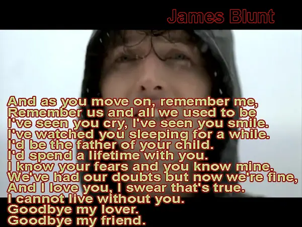 And as you move on, remember me, Remember us and all we used to be. I've seen you cry, I've seen you smile. I've watched you sleeping for a while. I'd be the father of your child. I'd spend a lifetime with you. I know your fears and you know mine. We've had our doubts but now we're fine, And I love you, I swear that's true. I cannot live without you. Goodbye my lover. Goodbye my friend. 