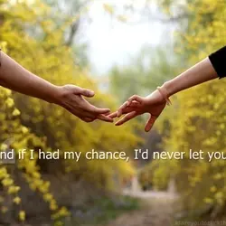 And if I had my chance, I'd never let you go.