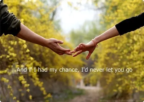 And if I had my chance, I'd never let you go.