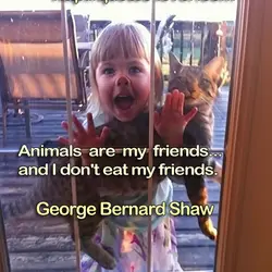 Animals are my friends...and I don't eat my friends.