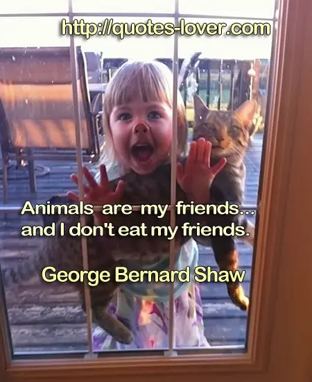 Animals are my friends...and I don't eat my friends.