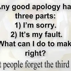 Any good apology has three parts: 1) I'm sorry. 2) It's my fault. 3) What...