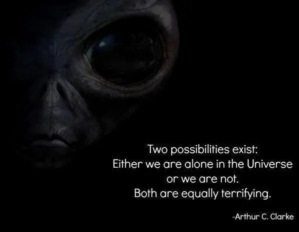 Either we are alone in the Universe or we are not both are equally terrifying.