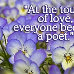 At the touch of love, everyone becomes a poet.