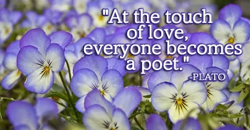 At the touch of love, everyone becomes a poet.