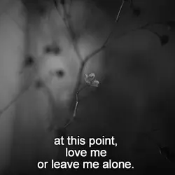 At this point, love me or leave me alone.