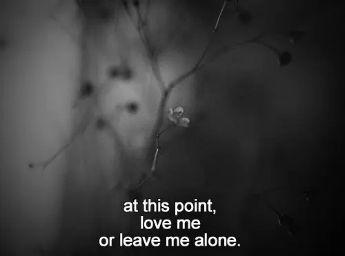 At this point, love me or leave me alone.