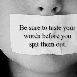 Be sure to taste your words before you spit them out