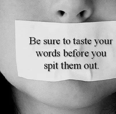 Be sure to taste your words before you spit them out