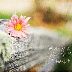 Beauty is a light in the heart
