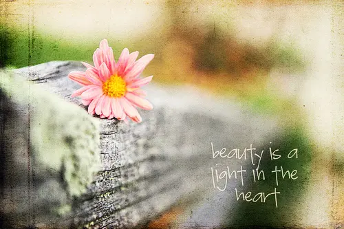 Beauty is a light in the heart