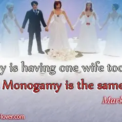 Bigamy is having one wife too many. Monogamy is the same.