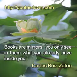 Books are mirrors: you only see in them what you already have inside you.