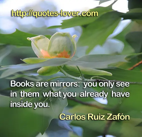 Books are mirrors: you only see in them what you already have inside you.