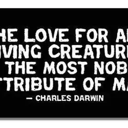 The love for all living creatures is the most noble attribute of man.