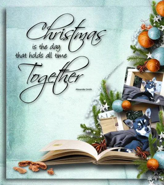 Christmas is the day that hold all time together. 