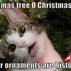 Christmas tree, Oh Christmas tree; Your ornaments are history.