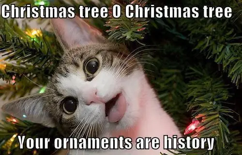 Christmas tree, Oh Christmas tree; Your ornaments  are history.