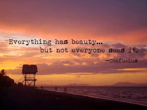 Everything has beauty but not everyone sees it.