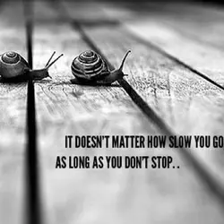 It does not matter how slowly you go, so long as you don't stop.
