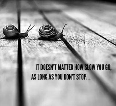 It does not matter how slowly you go, so long as you don't stop.