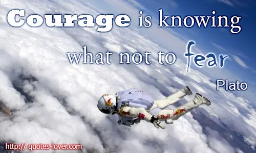 Courage is knowing what not to fear 