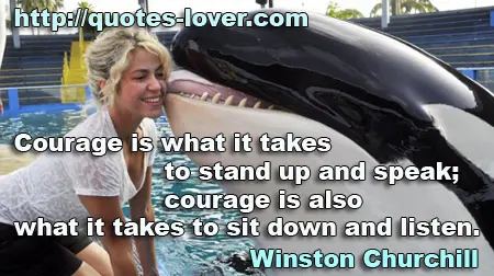 Courage is what it takes to stand up and speak; courage is also what it takes to sit down and listen.