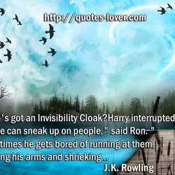 Death's got an Invisibility Cloak?" Harry interrupted again. "So he can sneak up on people,"...